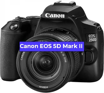 Ремонт фотоаппарата Canon EOS 5D Mark II в Омске
